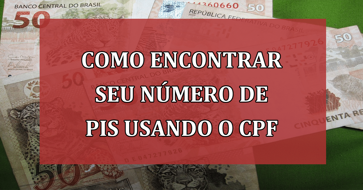 Descubra Como Encontrar Seu Número De PIS Usando O CPF De Forma Simples ...