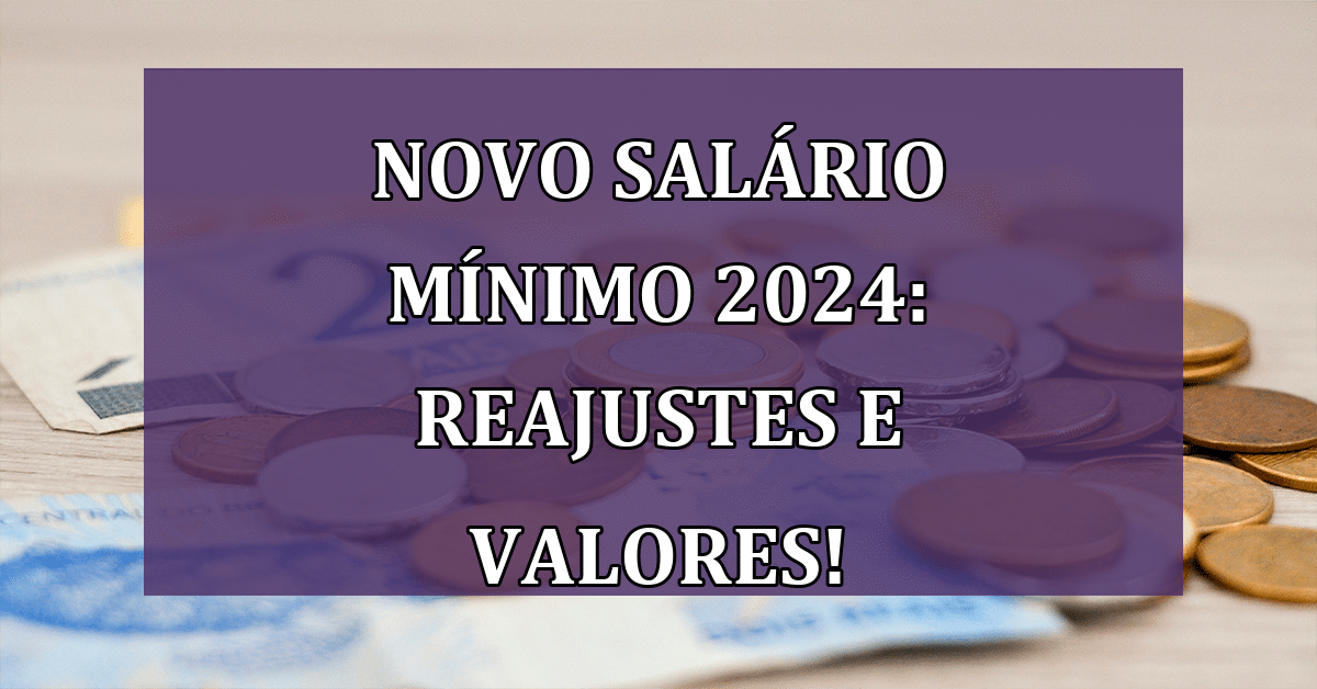 Novo Salário Mínimo 2024 Entenda os Reajustes e os Valores! Jornal Dia