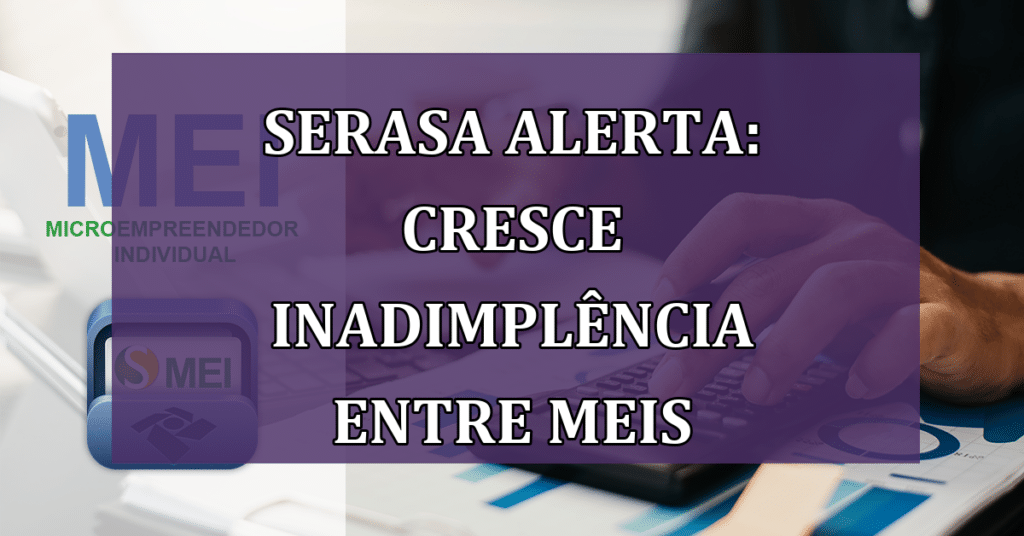 Serasa Alerta: Cresce Inadimplência Entre MEIs