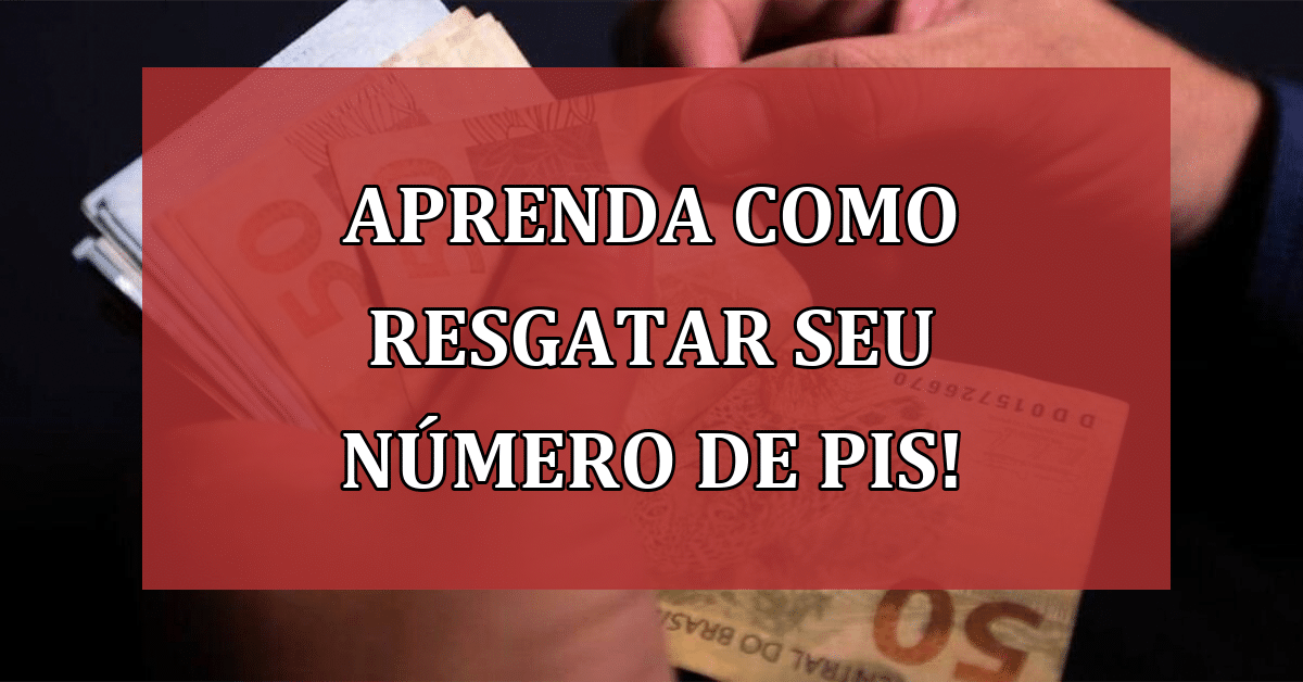 Aprenda Como Resgatar Seu Número de PIS e Garantir Seus Direitos Trabalhistas!