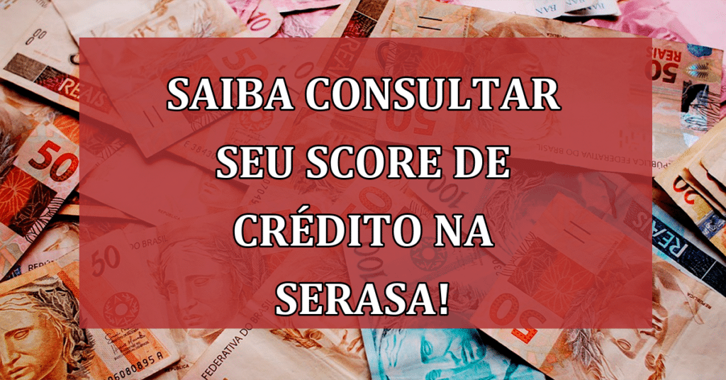 Saiba Consultar seu Score de Crédito na Serasa! Melhorando o SEU Financeiro