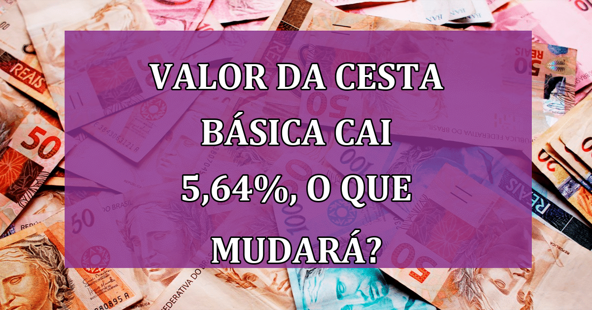 Valor da Cesta Básica Cai 5,64%, COMO Afetará o Consumidor?
