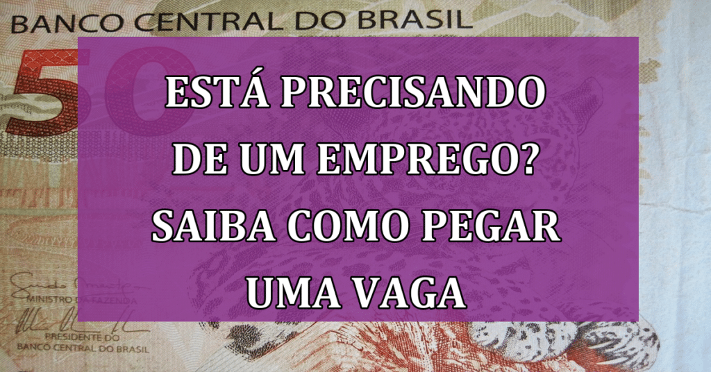 Está precisando de um Emprego? Saiba como conseguir uma VAGA neste Fim de Ano!