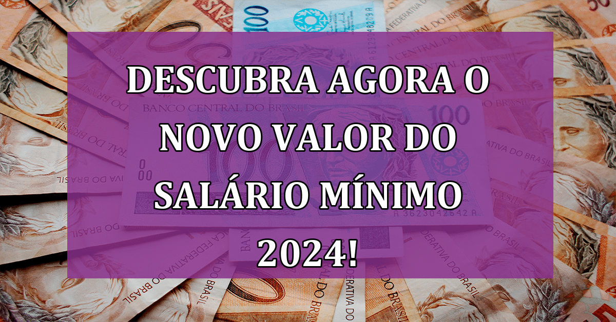 Descubra Agora o Novo Valor do Salário Mínimo 2024! Jornal Dia