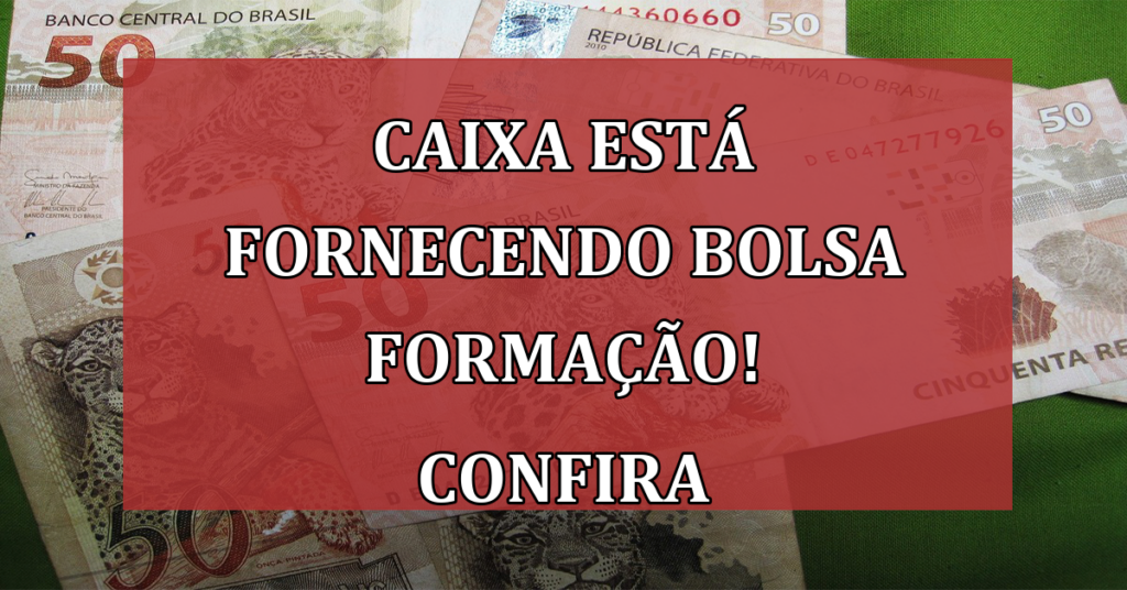Caixa está fornecendo bolsa formação! Mais Qualificação Profissional no Brasil!