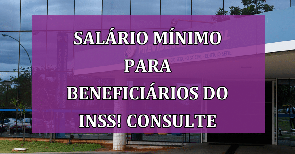 Salário Mínimo para Beneficiários do INSS! Saiba Como Consultar!
