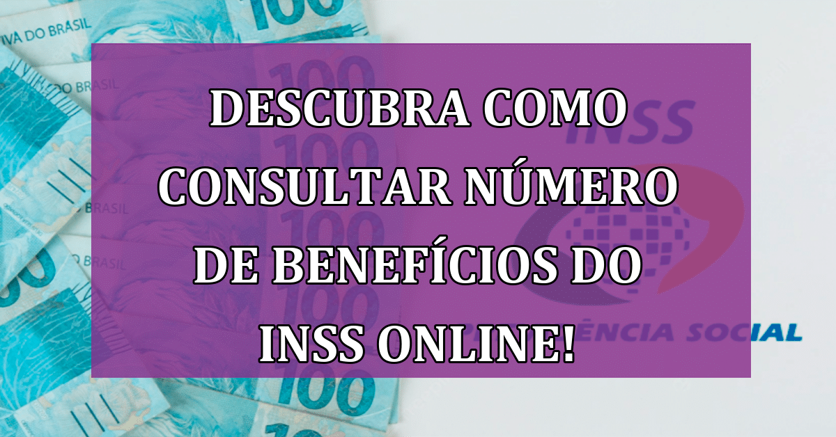 Descubra Como Consultar Número De Benefícios Do Inss Online Jornal Dia 5812