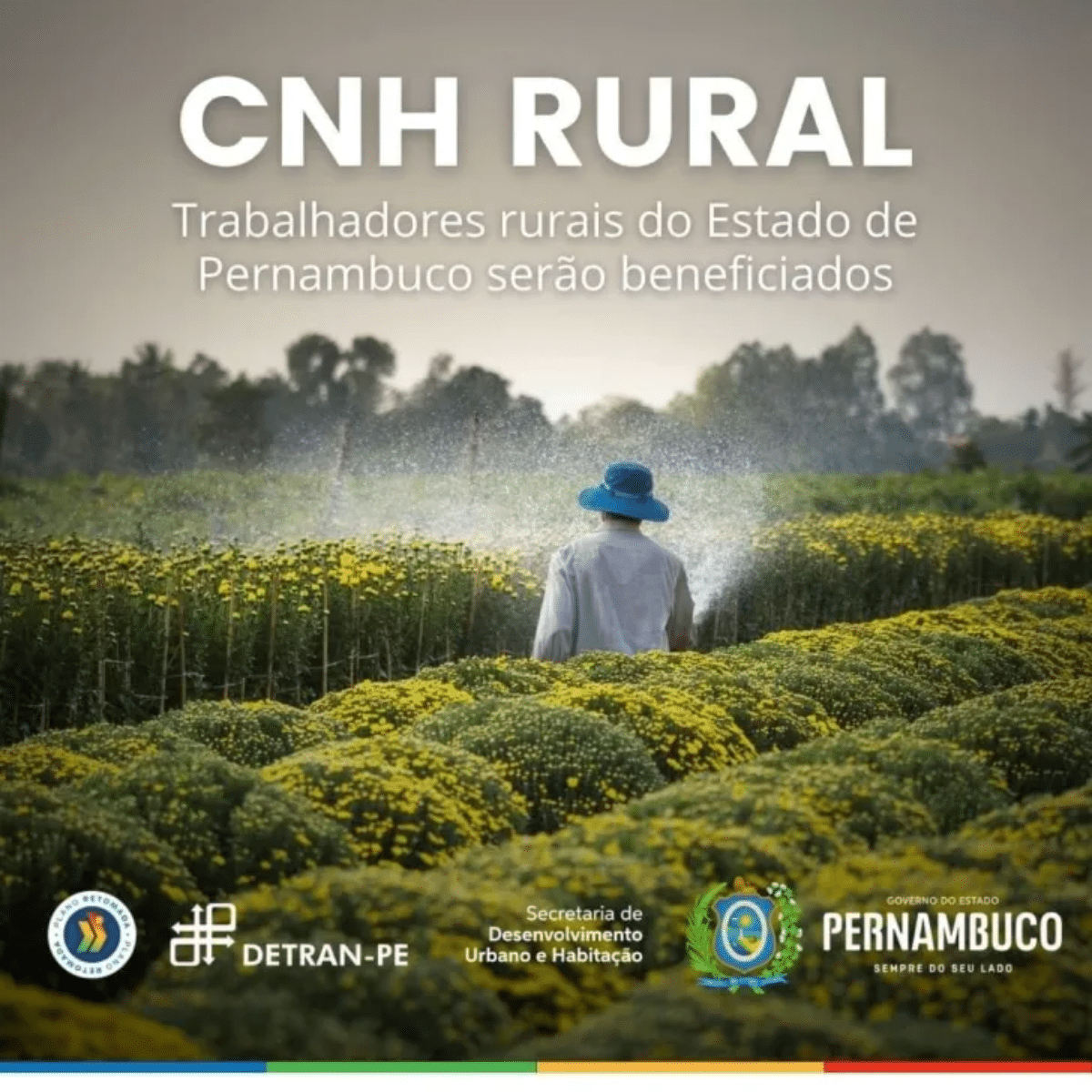 CNH Rural: Detran lança programa que oferece habilitações gratuitas para agricultores familiares. Entenda