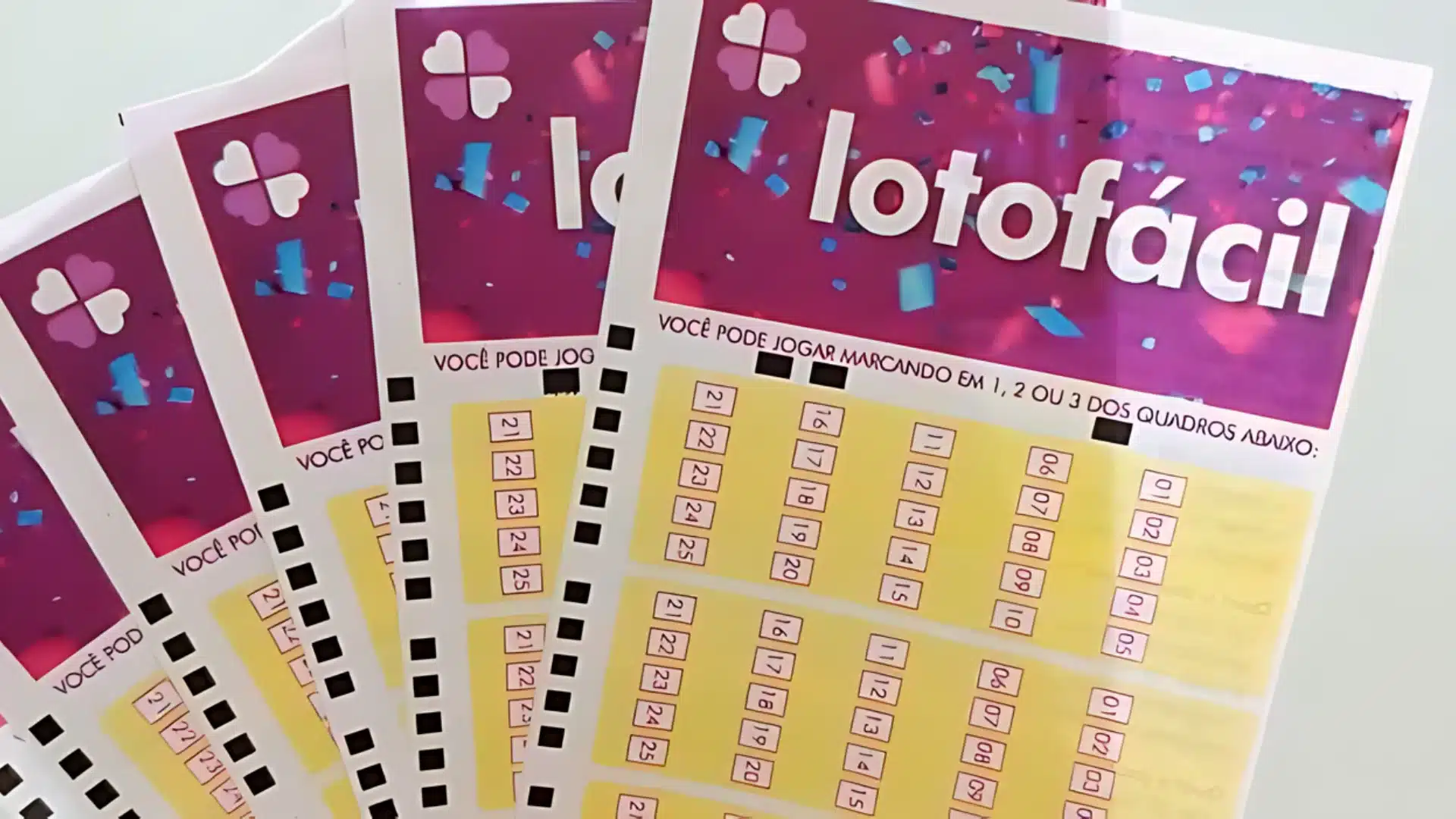 Sorteio Lotofácil 3141 HOJE