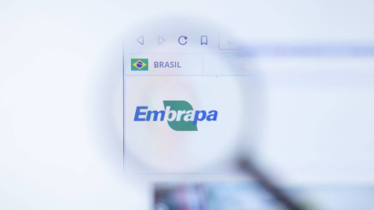 Embrapa abre concurso público com 1.027 vagas em todo o Brasil!