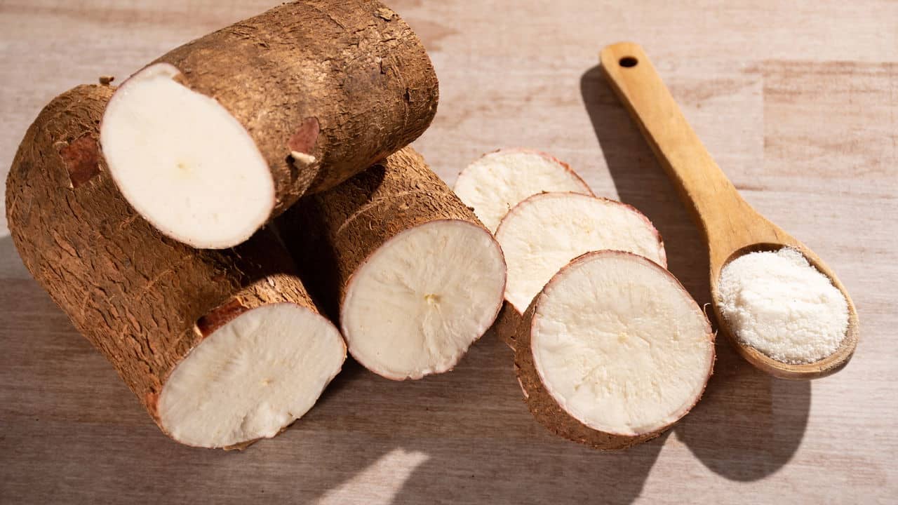 Estudo revela: Mandioca é um superalimento para a saúde intestinal!