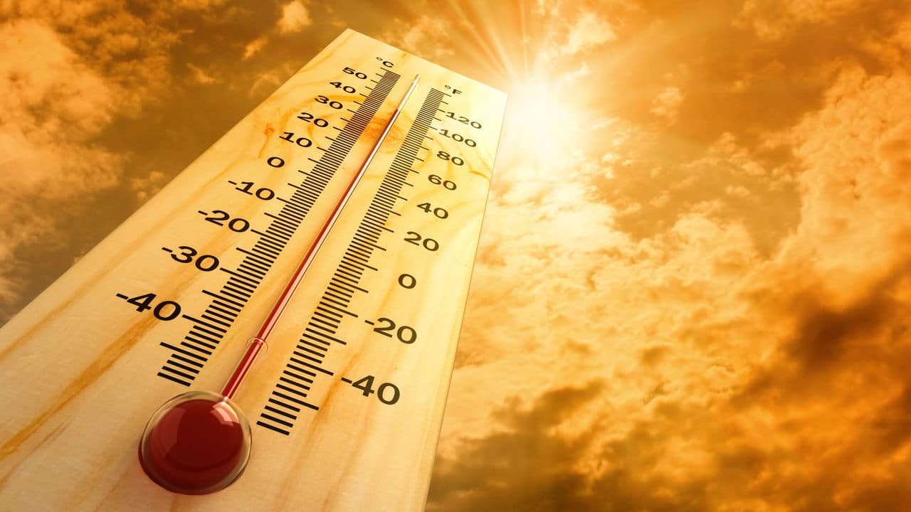 Onda de calor e seca devastam o Rio Grande do Sul!
