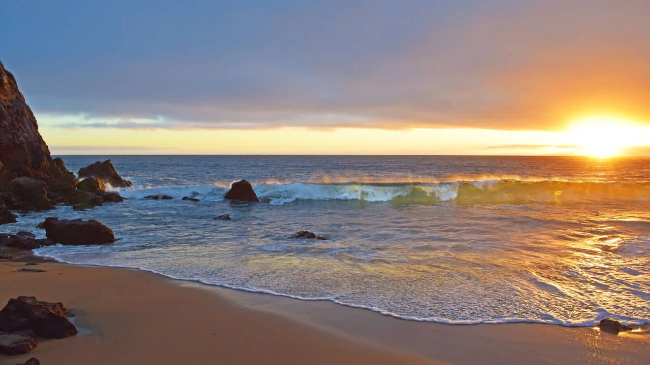 Bombinhas: Onde Até o Peixe Faz Selfie!