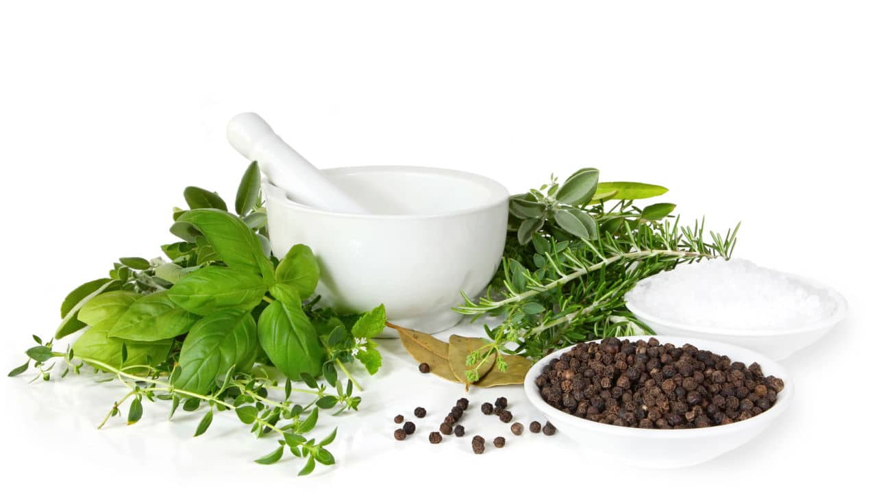 ervas aromáticas: pequenas plantas, grandes sabores e benefícios