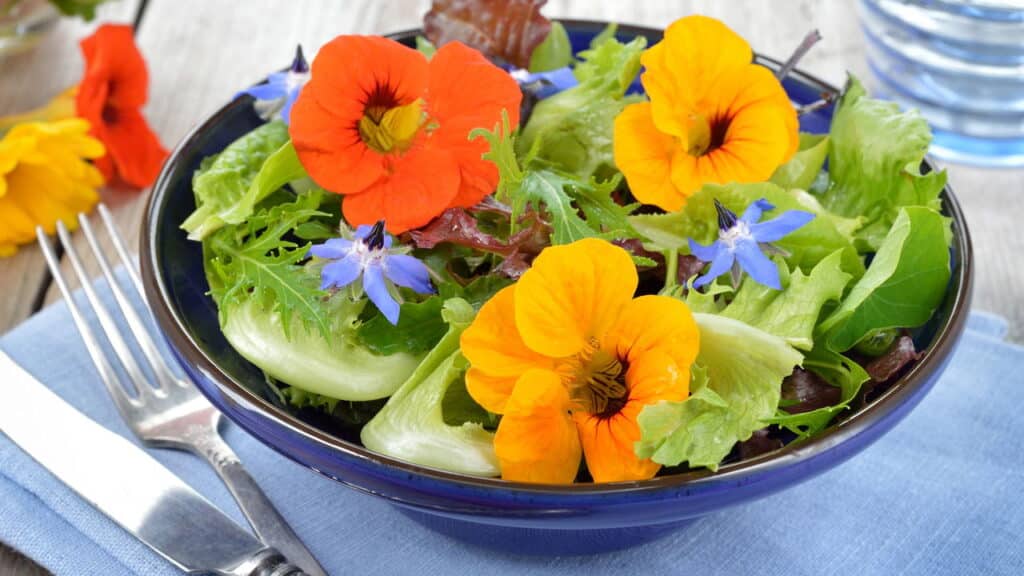 da horta para o prato: explorando o delicioso mundo das plantas comestíveis