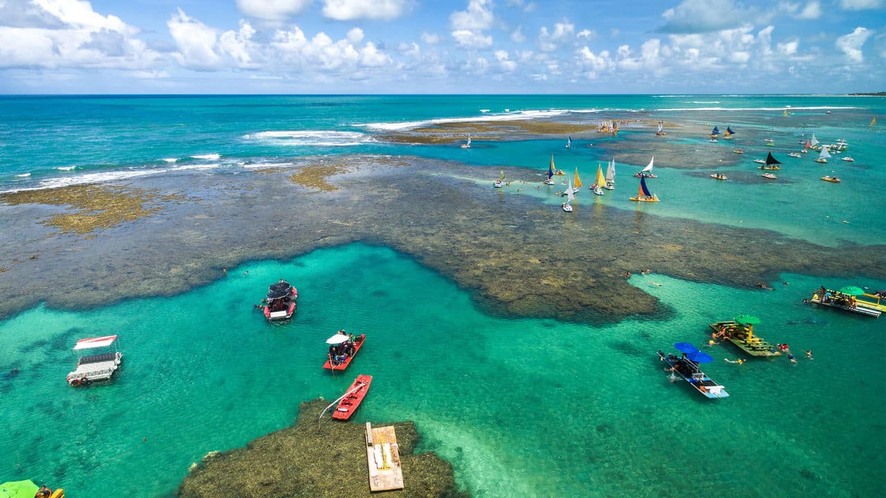 Recife: Onde a História Encontra o Mar e a Cultura Nunca Dorme