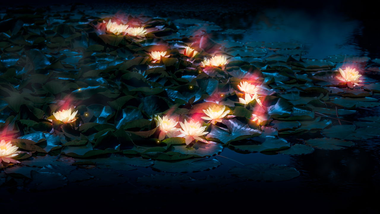 plantas que brilham no escuro: o futuro da iluminação sustentável