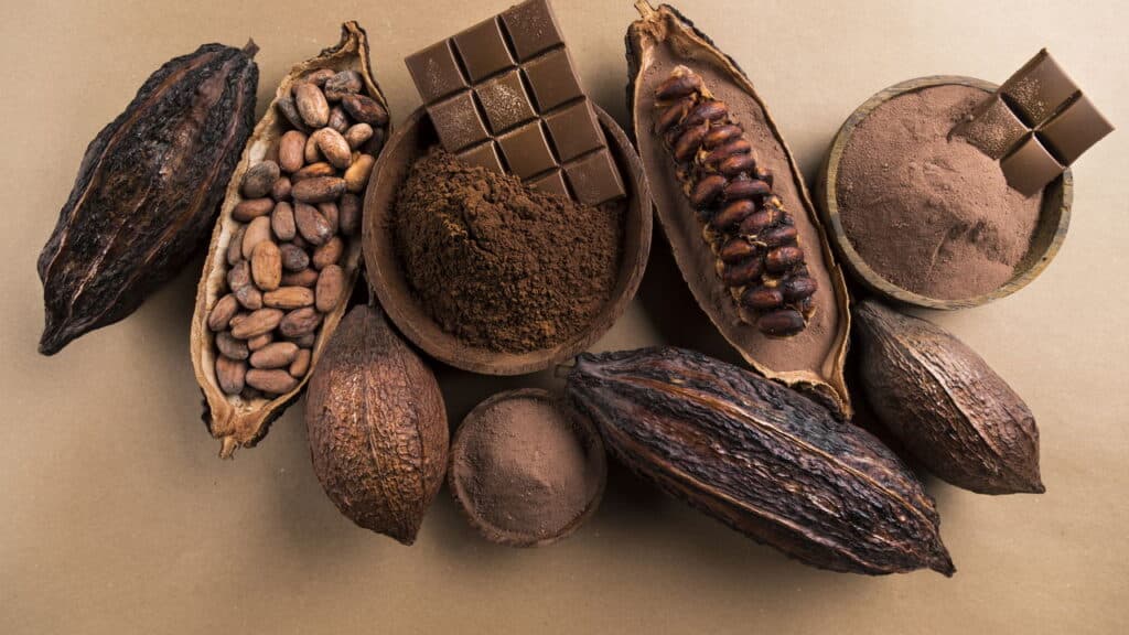 Cacau: A Fruta Que Já Foi Usada Como Dinheiro e É a Origem do Chocolate!