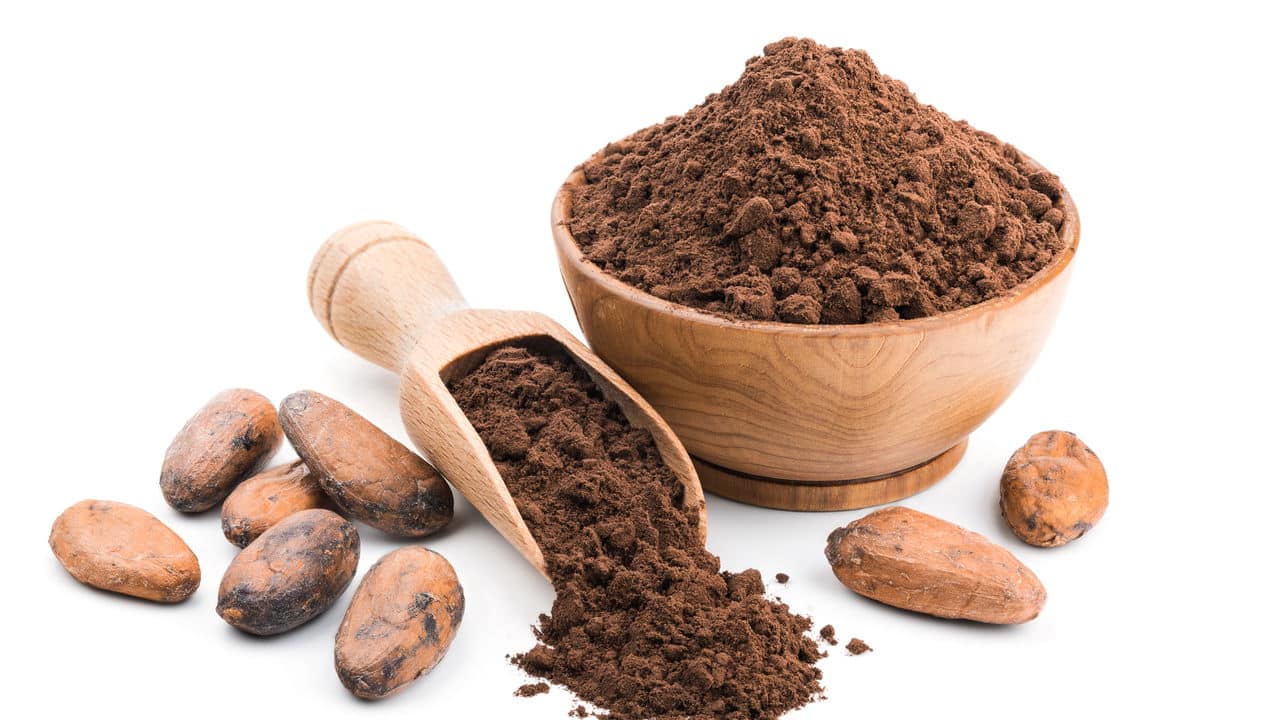 Cacau: A Fruta Que Já Foi Usada Como Dinheiro e É a Origem do Chocolate!