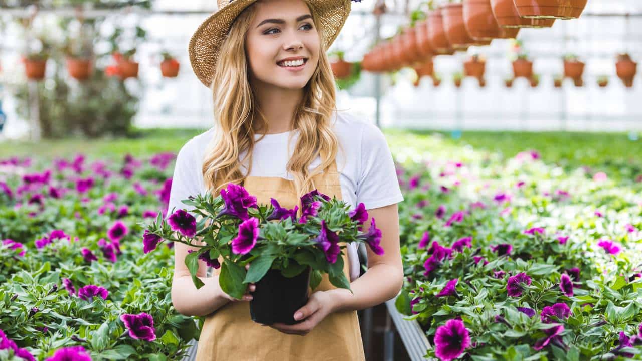 Como o contato com plantas em casa pode reduzir o estresse segundo estudos